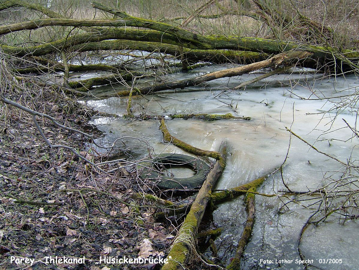 22-Parey-Am_alten_Ihlekanal-2005_03_20-001 Kopie.jpg